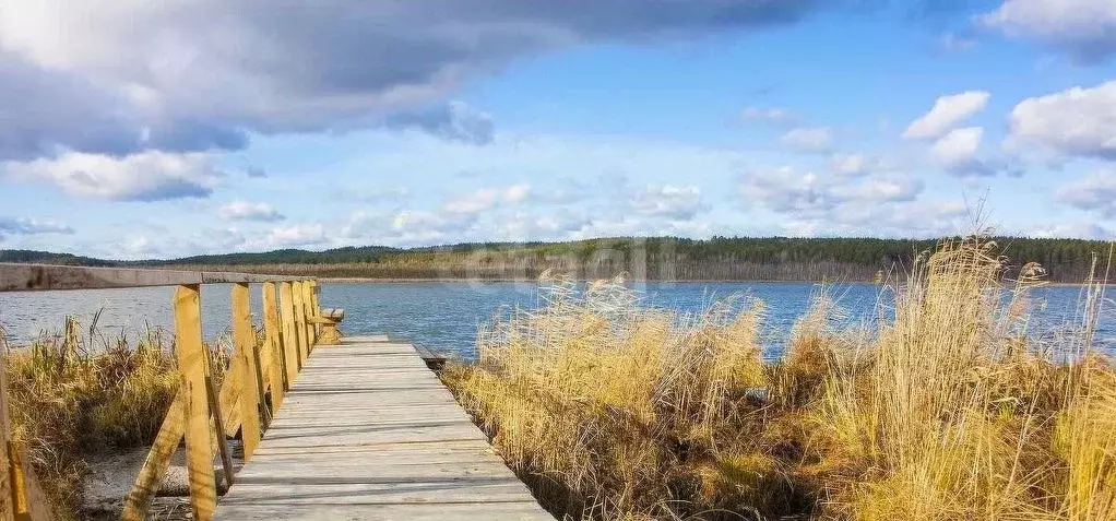 Участок в Свердловская область, Тугулымский городской округ, д. Гурина ... - Фото 0