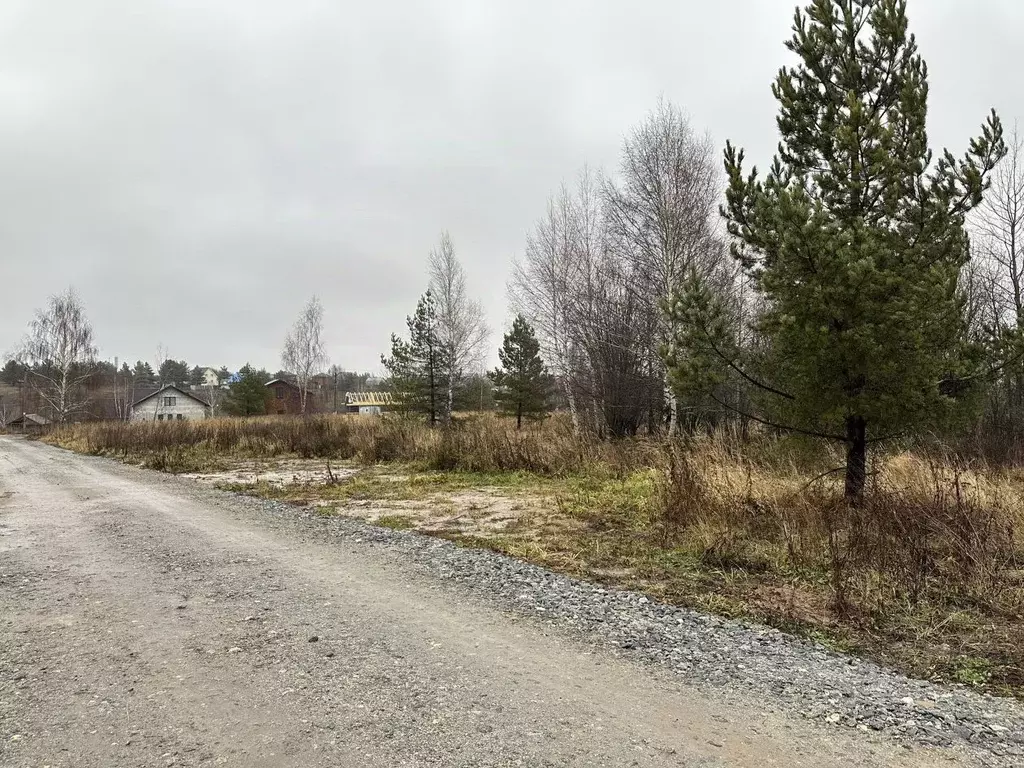 Участок в Татарстан, Пестречинский район, Богородское с/пос, с. ... - Фото 1