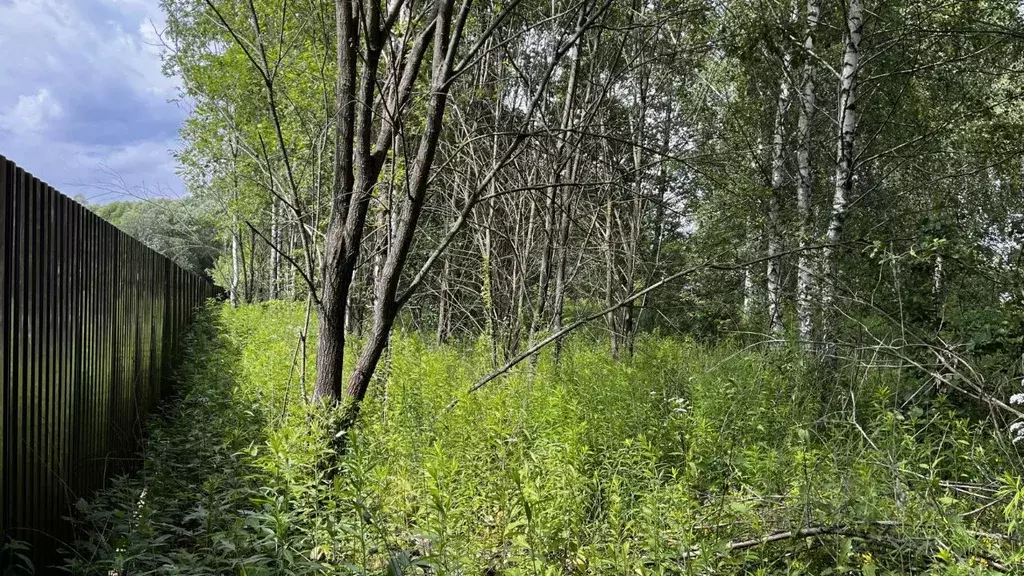 Участок в Московская область, Раменский городской округ, с. ... - Фото 0