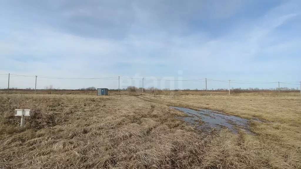 Участок в Тюменская область, Тюмень Большое Царево-3 ОНТ, ул. ... - Фото 1