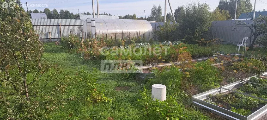 Дом в Тюменский муниципальный округ, садоводческое некоммерческое ... - Фото 2