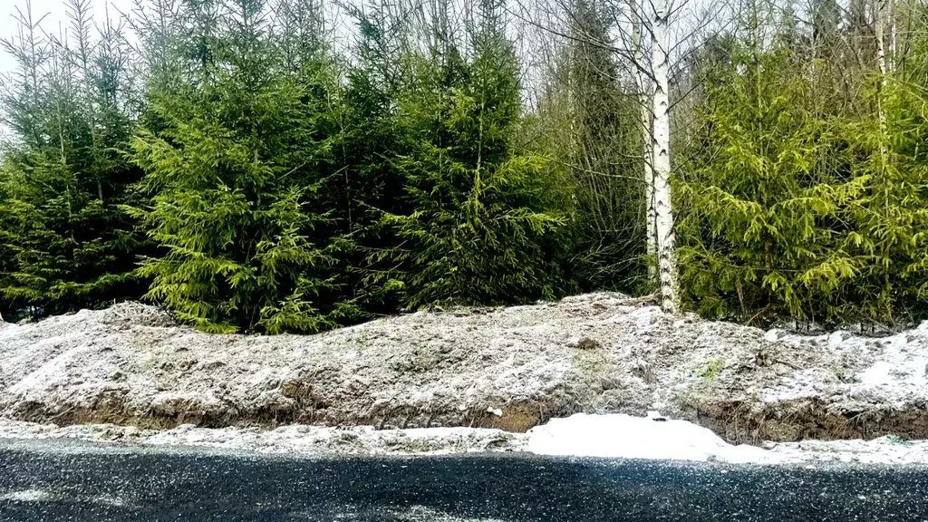 Участок в Московская область, Дмитровский муниципальный округ, д. ... - Фото 1