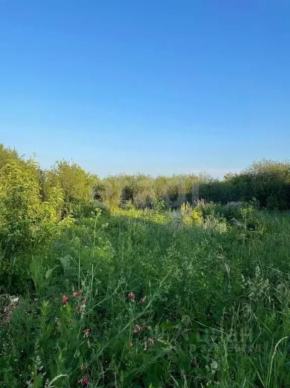 Участок в Башкортостан, Уфимский район, Таптыковский сельсовет, Шомырт ... - Фото 2
