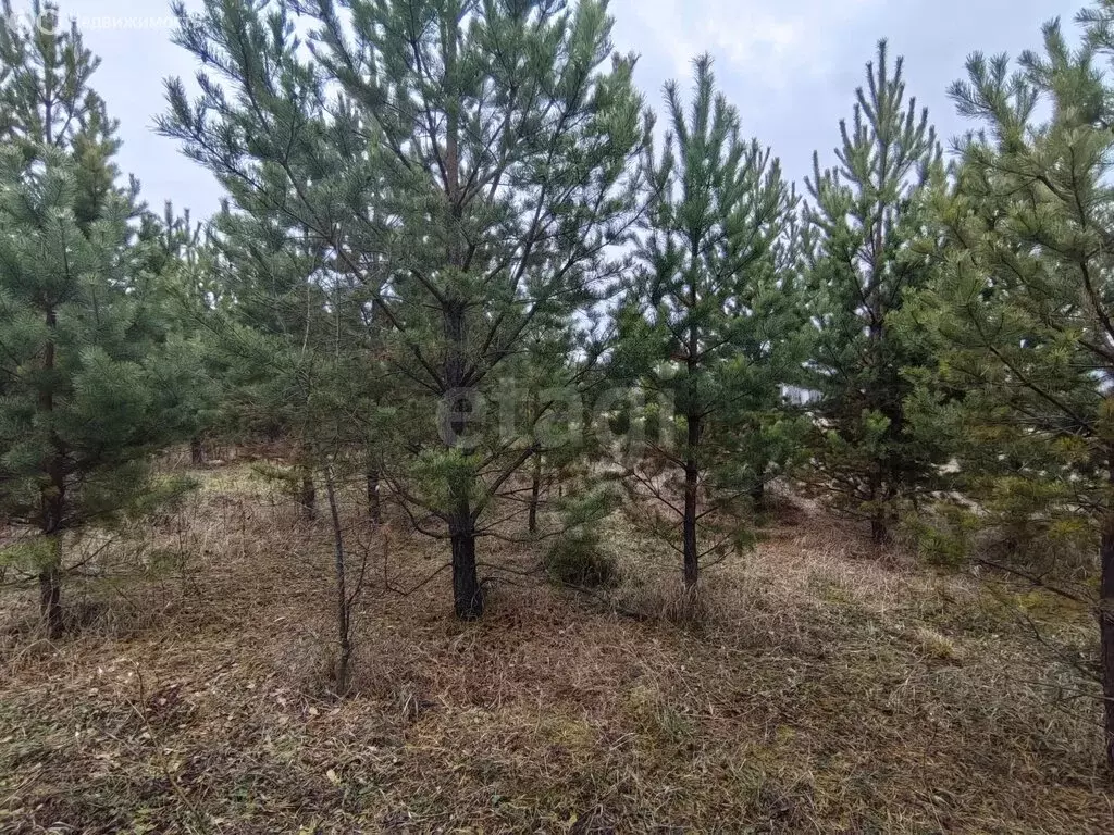 Участок в Усть-Ницинское сельское поселение, деревня Мельничная (12.18 ... - Фото 2