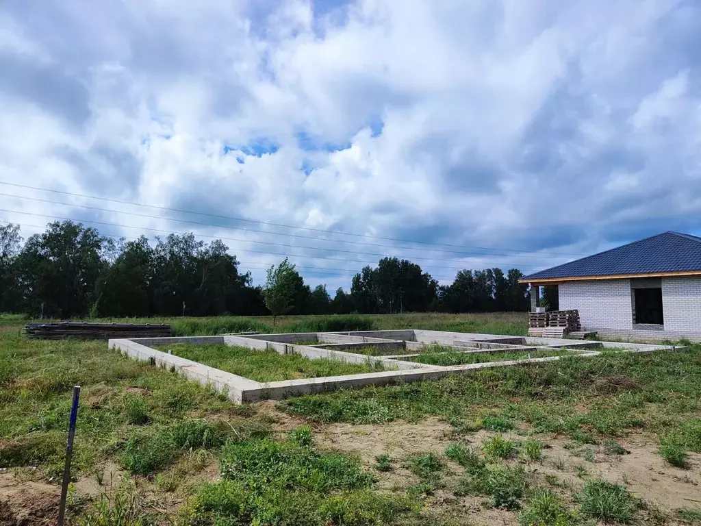 Участок в Алтайский край, Первомайский район, с. Фирсово ул. Антонины ... - Фото 1