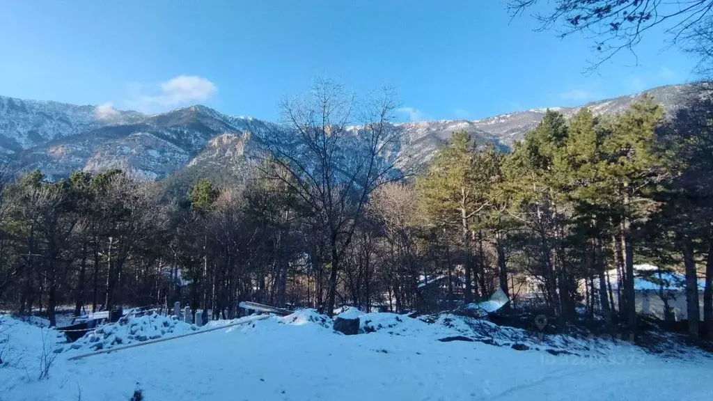 Участок в Крым, Ялта муниципальный округ, Виноградное пгт  (5.0 сот.) - Фото 1