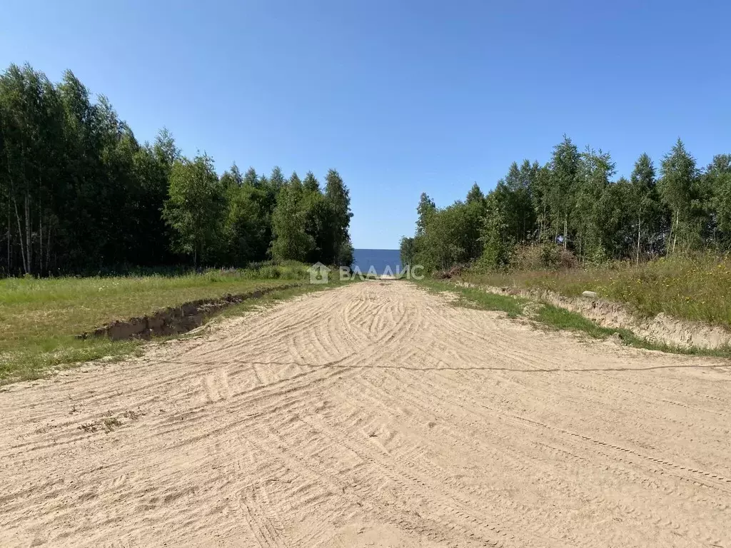 Участок в Ярославская область, Рыбинский муниципальный округ, д. ... - Фото 2