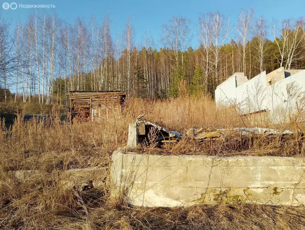 Участок в посёлок Исеть, улица Чапаева, 11 (10 м) - Фото 1