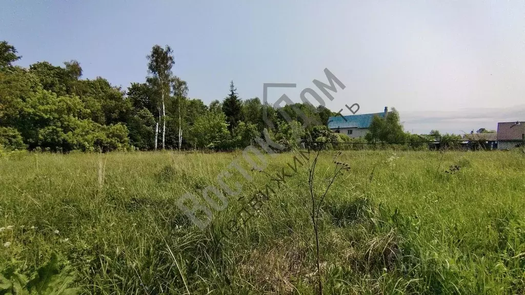 Участок в Московская область, Электросталь городской округ, д. Бабеево ... - Фото 0