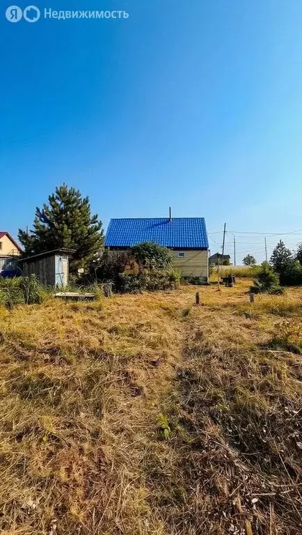Дом в Сахалинская область, Анивский муниципальный округ, село ... - Фото 2