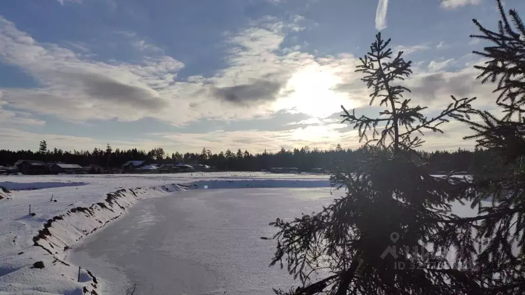Участок в Московская область, Балашиха городской округ, д. Полтево  ... - Фото 1