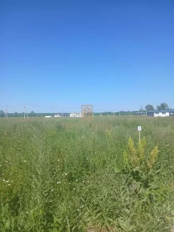 Участок в Новосибирская область, Новосибирский район, с. Кубовая ул. ... - Фото 0