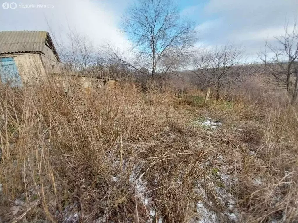 Участок в село Семилуки, Донская улица (35 м) - Фото 1