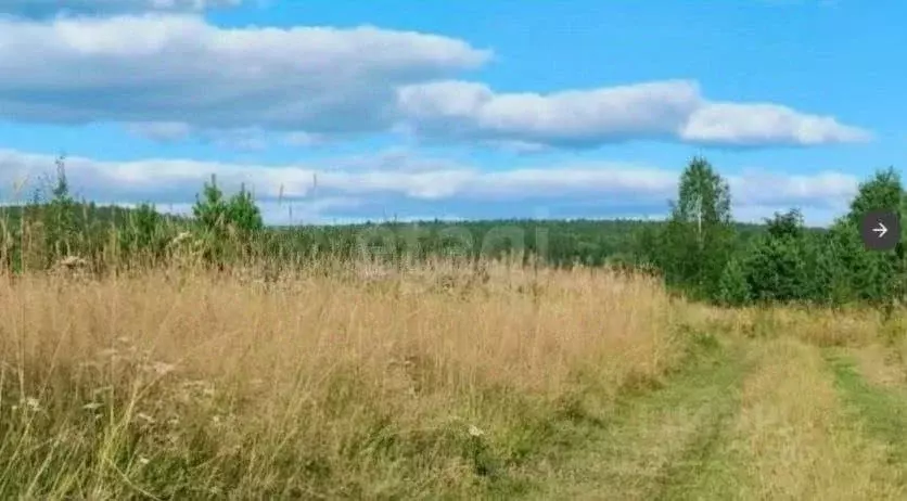 Участок в Свердловская область, Горноуральский муниципальный округ, с. ... - Фото 1