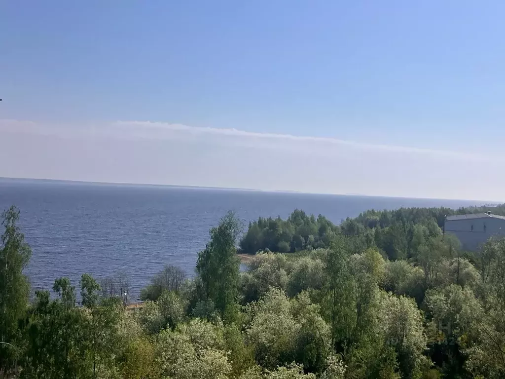 2-к кв. Карелия, Петрозаводск Береговая ул., 2 (48.8 м) - Фото 1