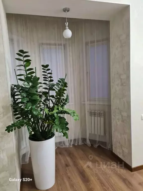 Студия Московская область, Богородский городской округ, д. Новая ... - Фото 1