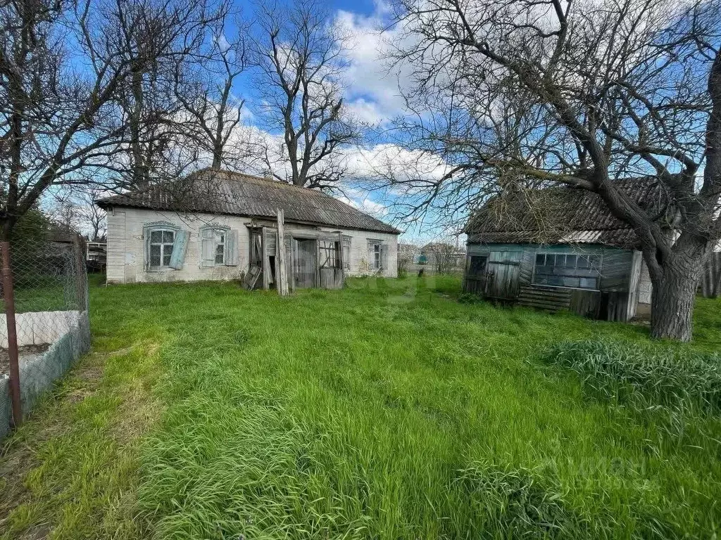 Участок в Краснодарский край, Калининский район, Гривенское с/пос, ... - Фото 2