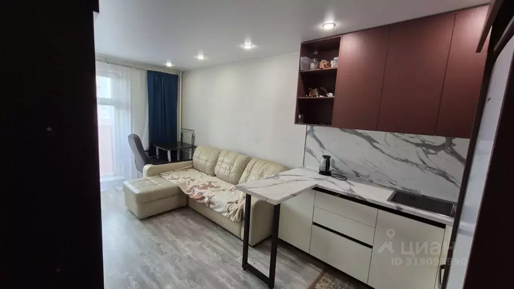 1-к кв. Новосибирская область, Новосибирск ул. Фадеева, 66/9 (23.0 м) - Фото 0