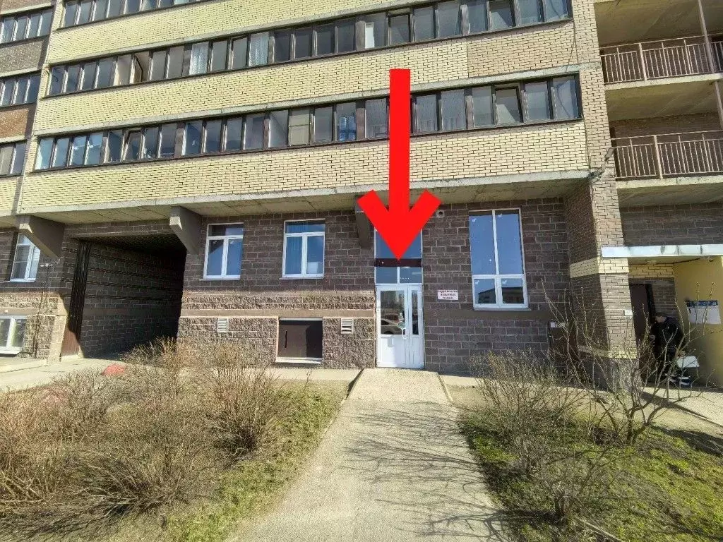 Торговая площадь в Ленинградская область, Мурино Всеволожский район, ... - Фото 2