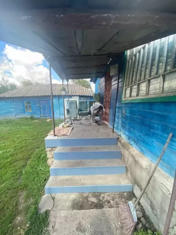 Дом в Белгородская область, Корочанский район, с. Погореловка ... - Фото 2