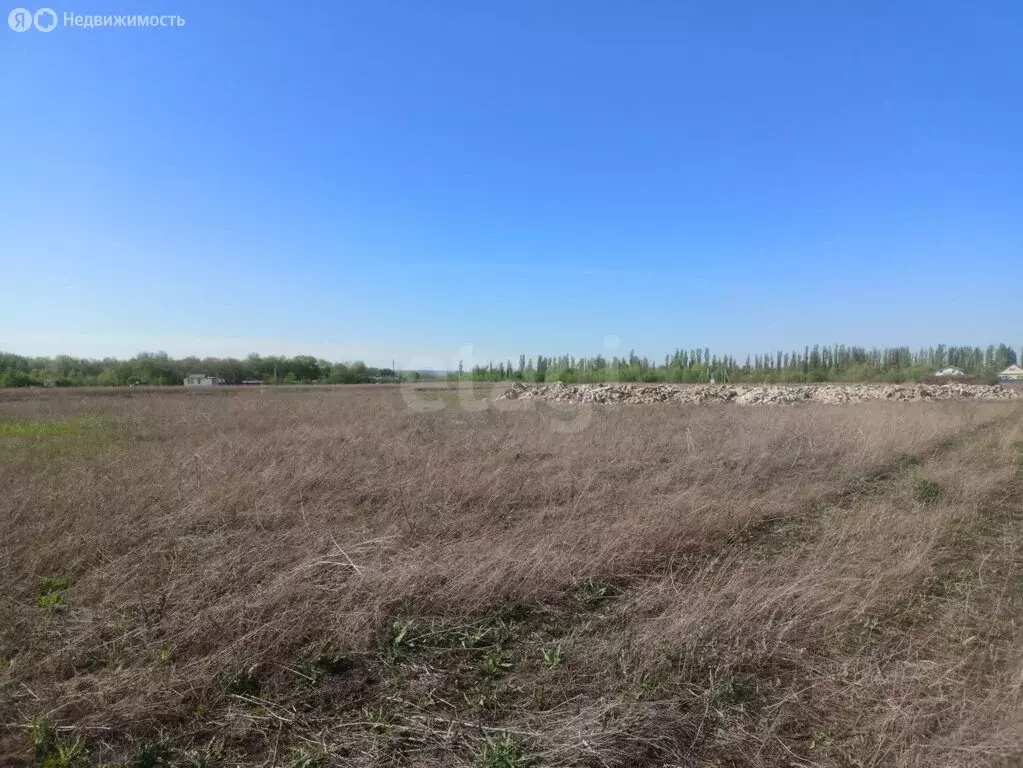 Участок в Энгельсский район, Новопушкинское муниципальное образование, ... - Фото 2