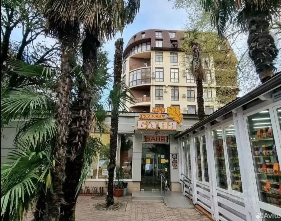 2-к кв. Краснодарский край, Сочи ул. Демократическая, 34/1 (42.0 м) - Фото 0