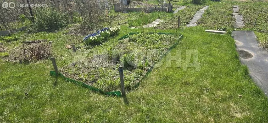 Дом в Колыванский район, СНТ Электрон, Озёрная улица (65 м) - Фото 2
