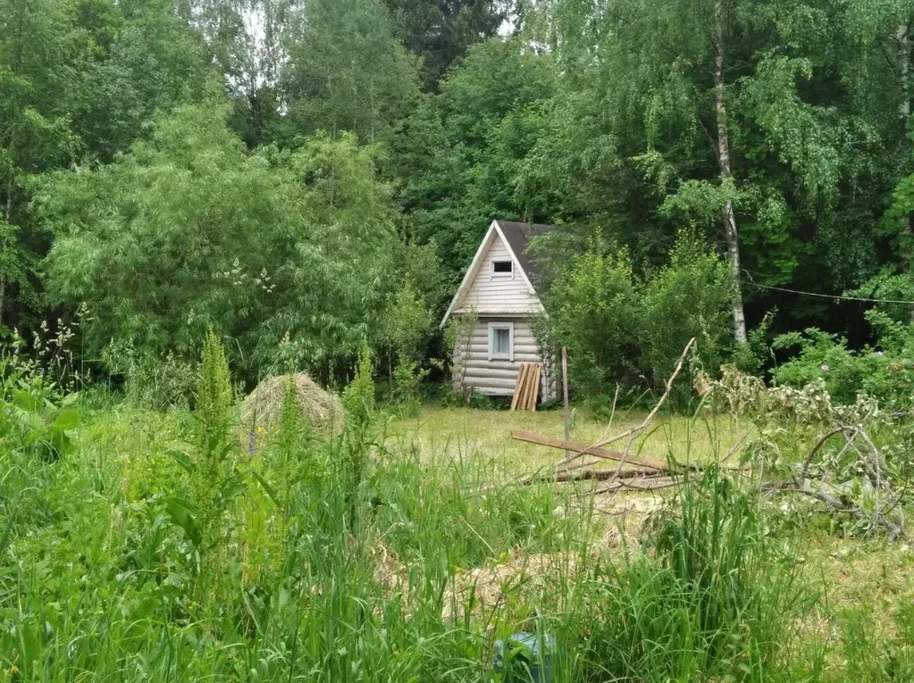 Участок в Пермский край, Пермский муниципальный округ, д. Загришинское ... - Фото 1