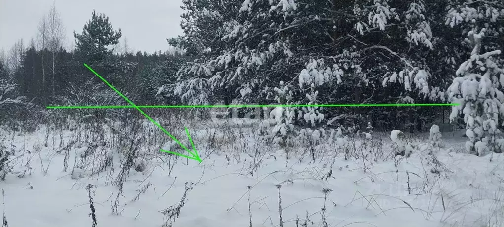 Участок в Владимирская область, Муром с. Лазарево,  (10.0 сот.) - Фото 1
