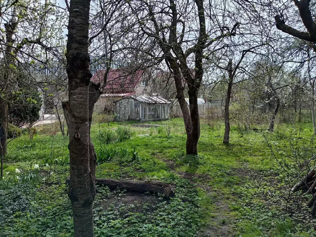 Участок 5,9 сот. (СНТ, ДНП) - Фото 1