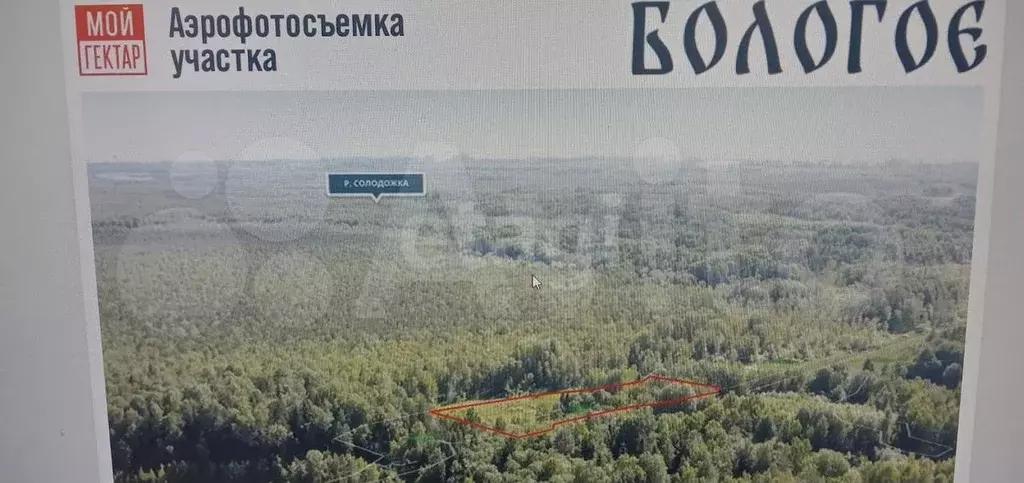 Участок 1,01 га (СНТ, ДНП) - Фото 0
