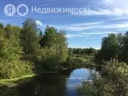 Участок в Нижнетавдинский район, деревня Красный Яр (12.53 м) - Фото 1