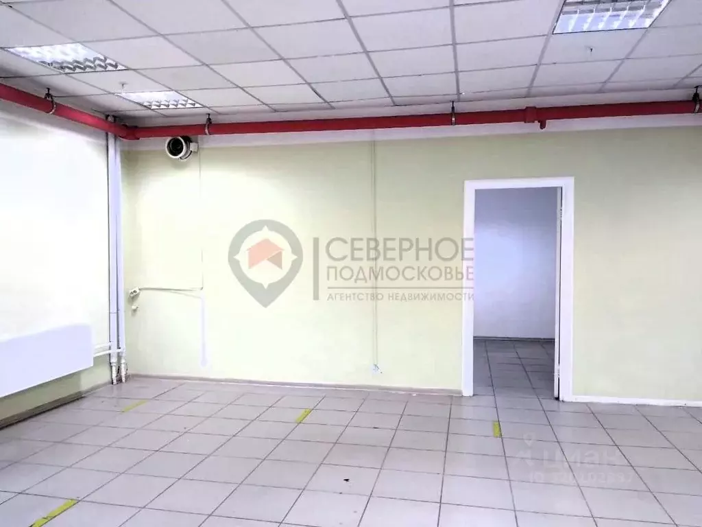 Торговая площадь в Московская область, Дмитров Профессиональная ул., ... - Фото 1