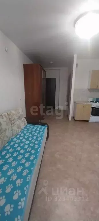 Студия Ямало-Ненецкий АО, Муравленко ул. 70 лет Октября, 43 (25.0 м) - Фото 2