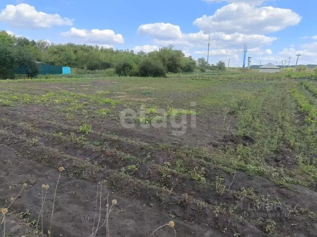 Участок в Белгородская область, Корочанский муниципальный округ, с. ... - Фото 2