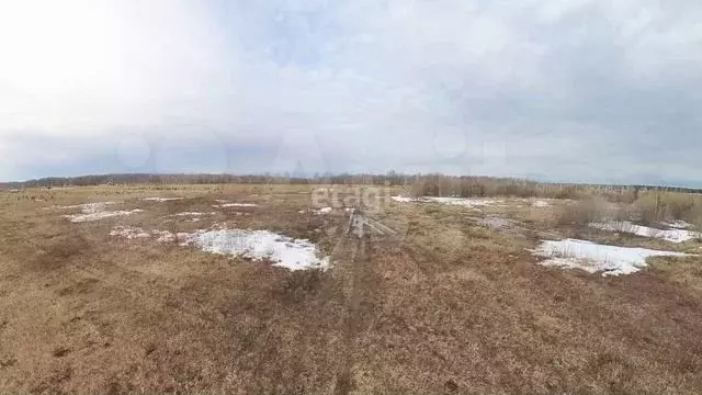 Участок 8 сот. (ИЖС) - Фото 1