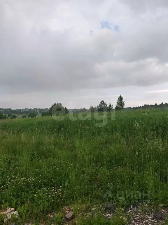 Участок в Пермский край, Пермский муниципальный округ, д. Ежи ул. ... - Фото 2