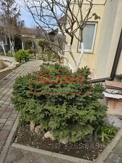 1-к кв. Севастополь Верхний Сатурн садоводческое товарищество, 440 ... - Фото 1