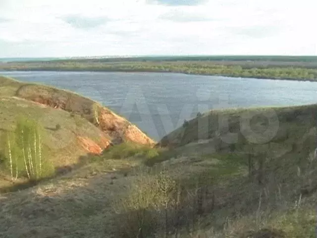 Участок 50 га (СНТ, ДНП) - Фото 0