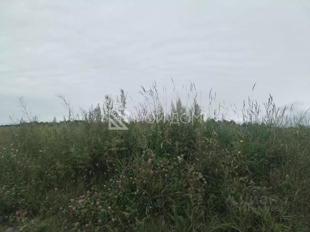 Участок в Сахалинская область, Анивский городской округ, с. Мицулевка  ... - Фото 1