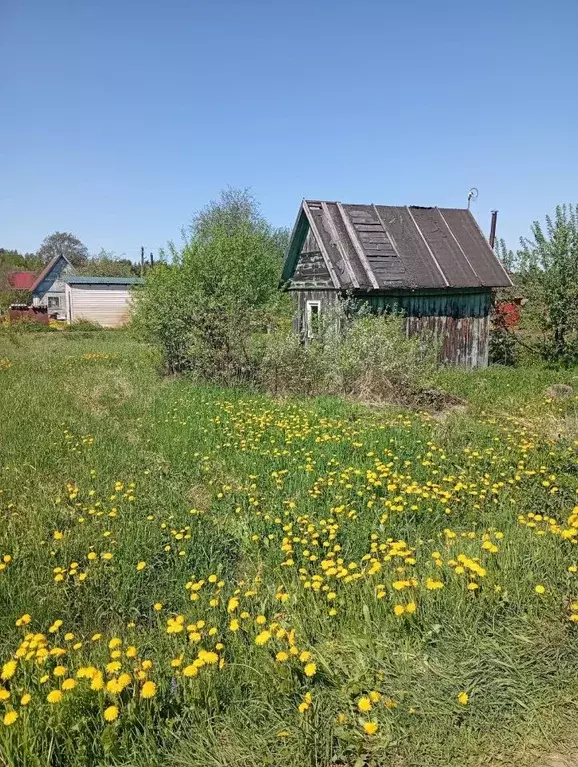 Участок в Ивановская область, Ивановский муниципальный округ, ... - Фото 1
