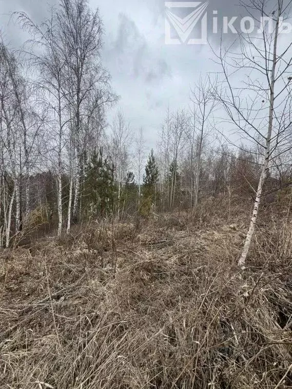 Участок в Иркутская область, Иркутский муниципальный округ, с. Мамоны ... - Фото 1