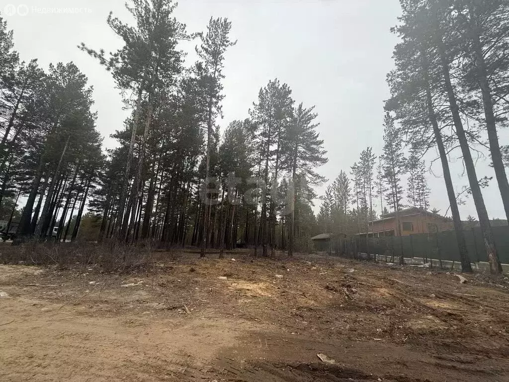 Участок в Читинский район, городское поселение Атамановское, КП ... - Фото 2