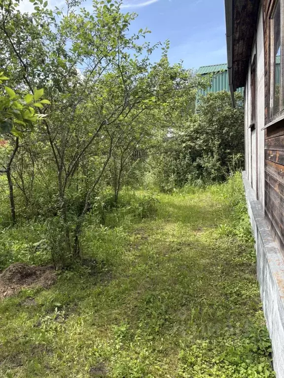 Дом в Московская область, Богородский городской округ, Феникс СНТ ул. ... - Фото 0