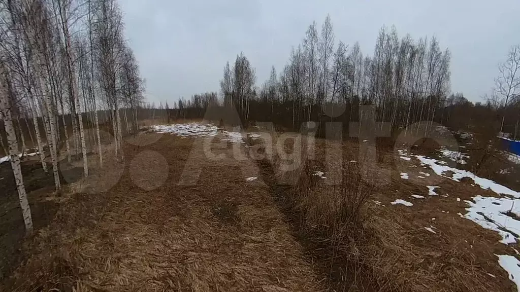 Участок 10,9 сот. (СНТ, ДНП) - Фото 0