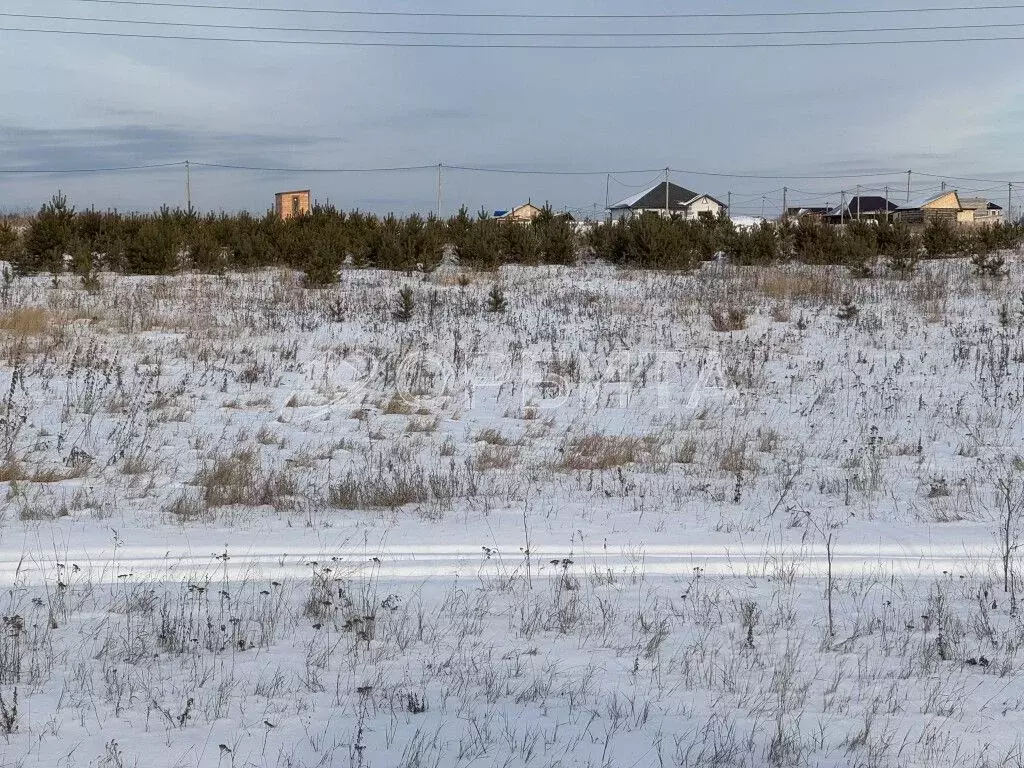 Участок в Тюменская область, Тюменский муниципальный округ, с. Борки  ... - Фото 2