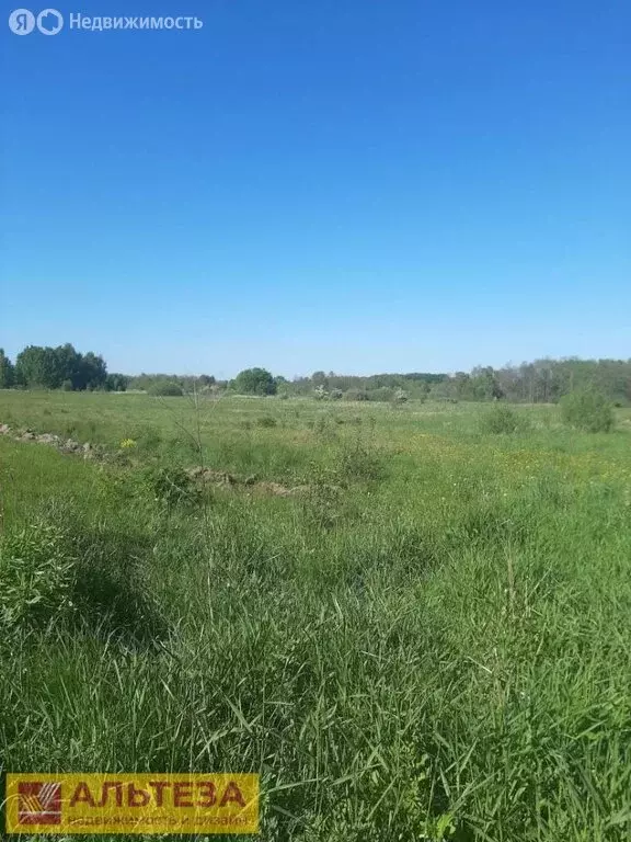 Участок в Светловский городской округ, посёлок Волочаевское, Осенняя ... - Фото 1