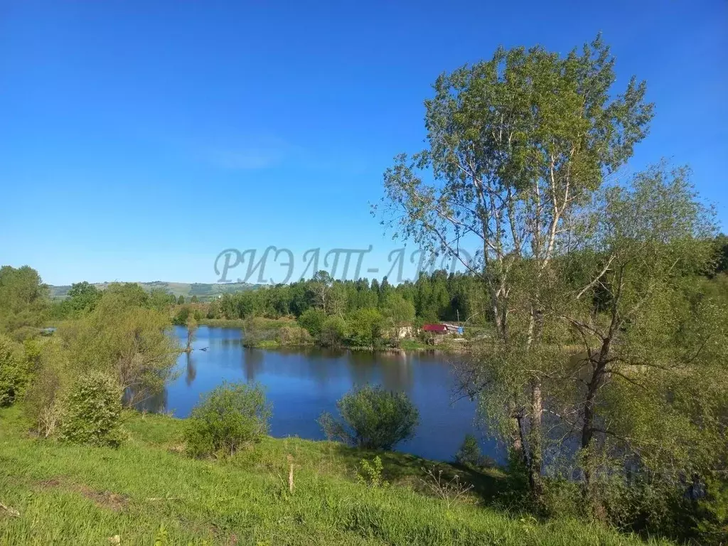 Участок в Алтай, Майминский район, с. Подгорное Центральная ул. (10.0 ... - Фото 1