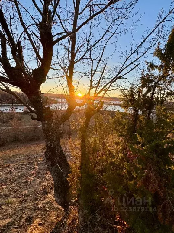 Участок в Марий Эл, Звенигово городское поселение, д. Чуваш-Отары  ... - Фото 1