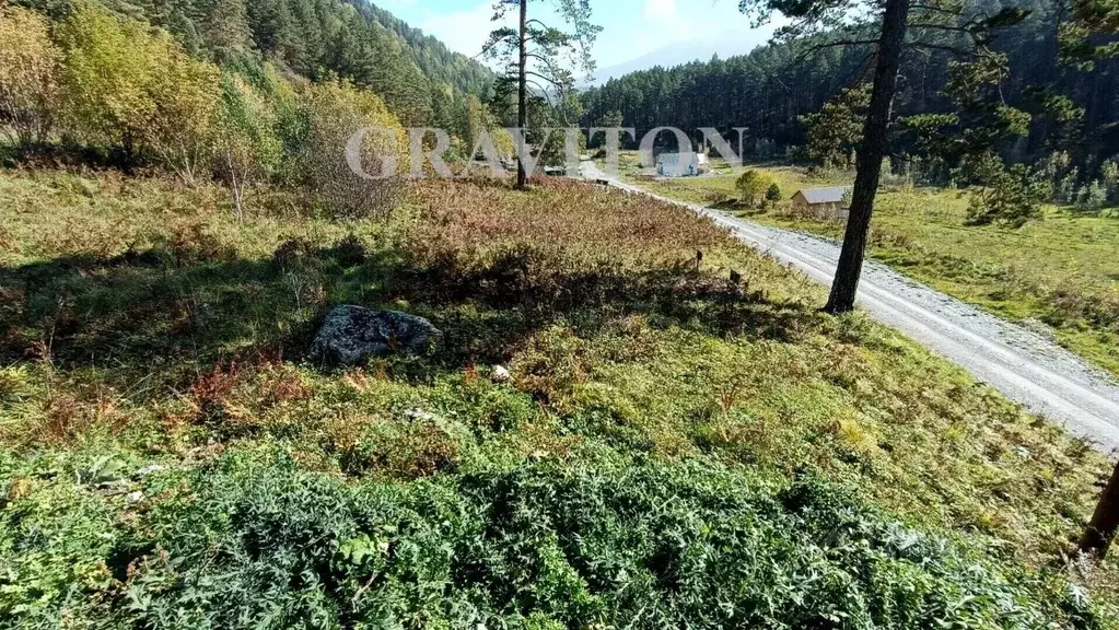 Участок в Алтай, Майминский район, с. Манжерок Манжерокская ул. (10.0 ... - Фото 1